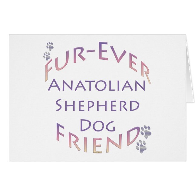 Furever de Chien de Berger Anatolien (Devant horizontal)