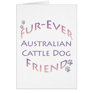 Furever de chien de bétail australien
