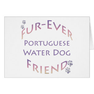 Furever de chien d'eau portugais