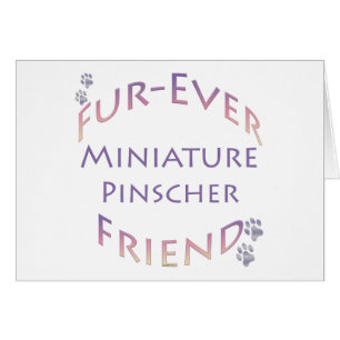 Furever de Pinscher Miniature