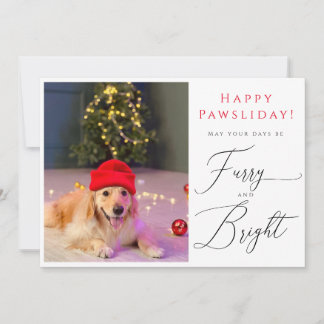 Furry and Bright Pet 3 Photo Funny carte de vacanc