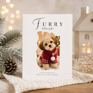 Furry & Bright Artistique Noël Photo Puppy Vacance