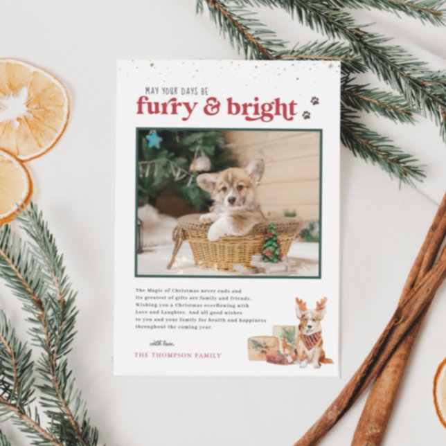 Furry & Bright | Carte de Noël photo pour animaux  (Créateur téléchargé)