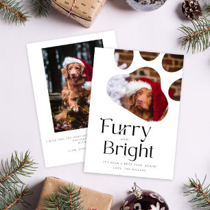 Furry&Bright Pet Cadre photo Funny carte de vacanc