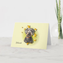 Furry Grey Schnoodle est une carte Star Card