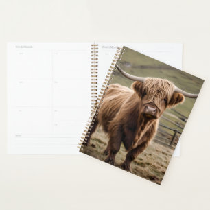 **"Furry Majesty : The Woolly Brown Highland Cow"*