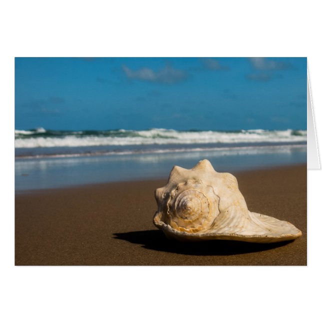 Future Beach (Devant horizontal)