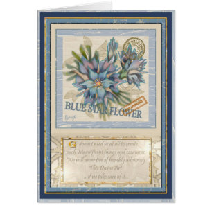 G Bureau de la création bleu fleur carte d'anniver