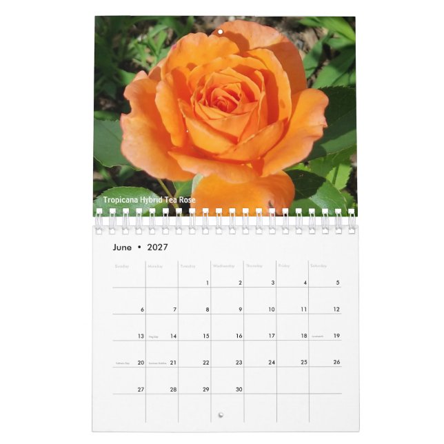 Gabby le calendrier Gardener 2021 (Jun 2027)