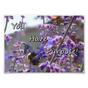 Gaffez la photo d'abeille que vous avez le but