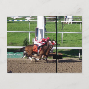 Gagnant Par Une Carte Postale Nez