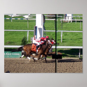 Gagnante Par Une Poster De Nez