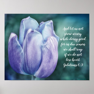 Galates 6:9 Poster de tulipe bleue