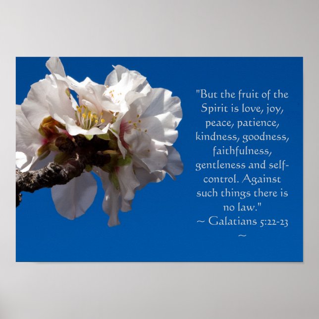 Galatians 5:22,23 Poster (Devant)