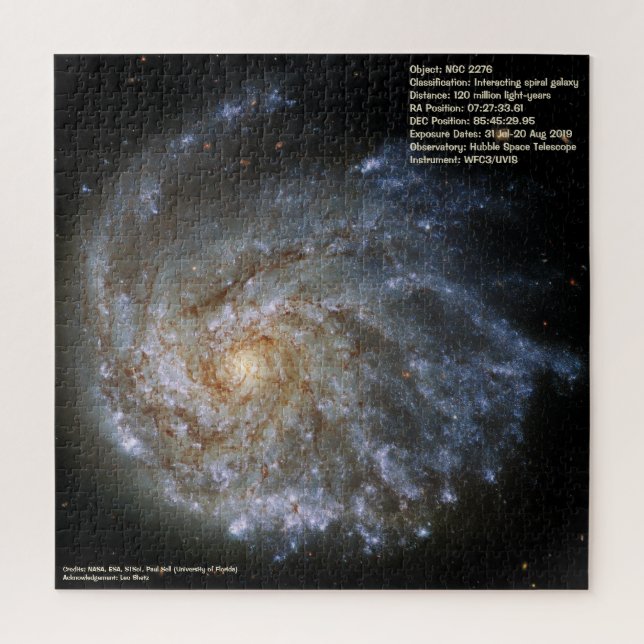 Galaxy (NGC 2276) Jigsaw Puzzle (Vertical)