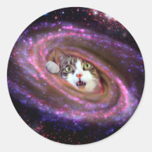 Galaxy Space Cats LOL Funny Sticker