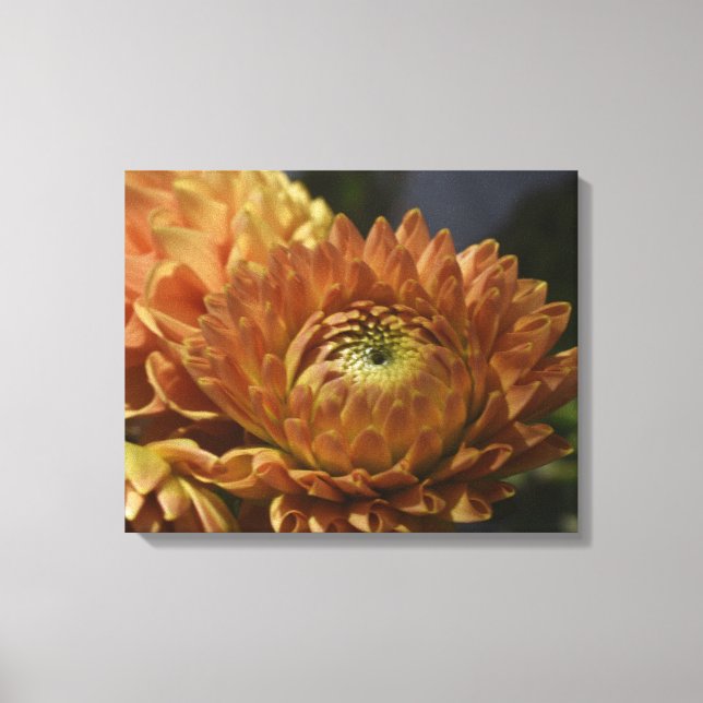 Galerie de toile moderne – Élégant pour n'importe  (Recto)