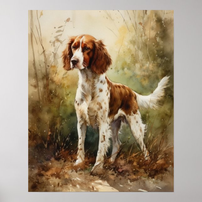 Gallois Springer Spaniel Dog Art Imprimer Poster (Devant)