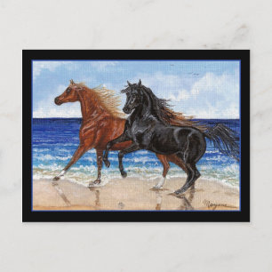 Gallop beach Arabian carte postale