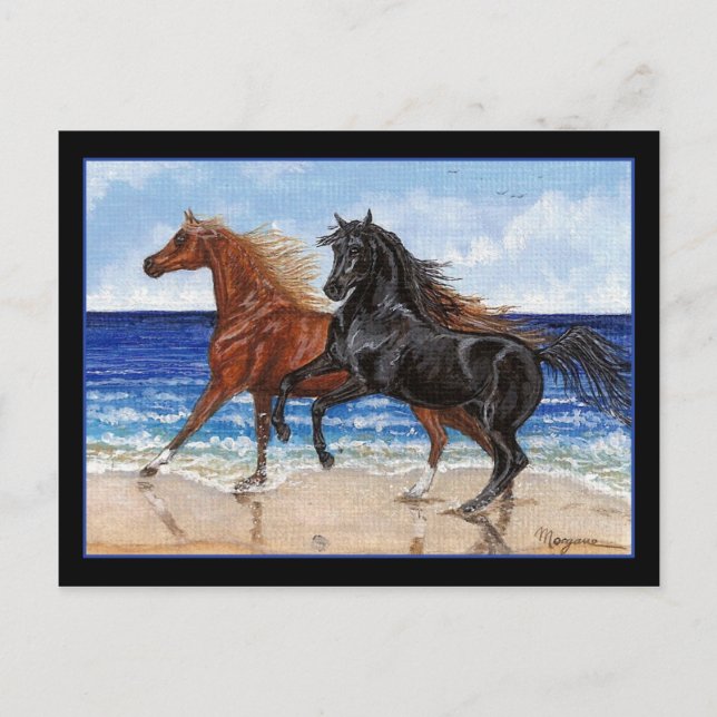 Gallop beach Arabian carte postale (Devant)
