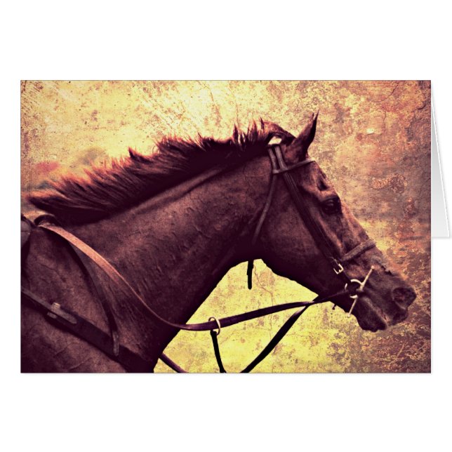 Gallop Grunge (Devant horizontal)
