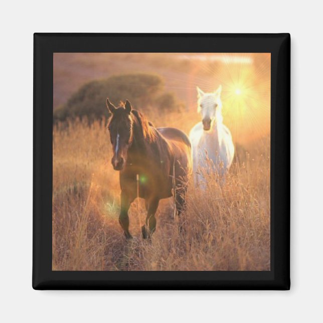 Galoping Chevaux sauvages Magnet Carré (Devant)