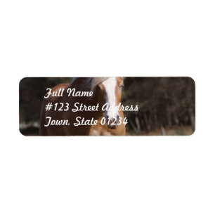 Galoping Palomino Étiquettes de messagerie