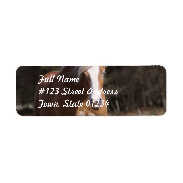 Galoping Palomino Étiquettes de messagerie (Devant)