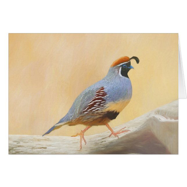 Gambrel's Quail Painting Original Bird Art (Devant horizontal)