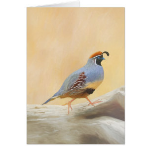 Gambrel's Quail Painting Original Bird Art