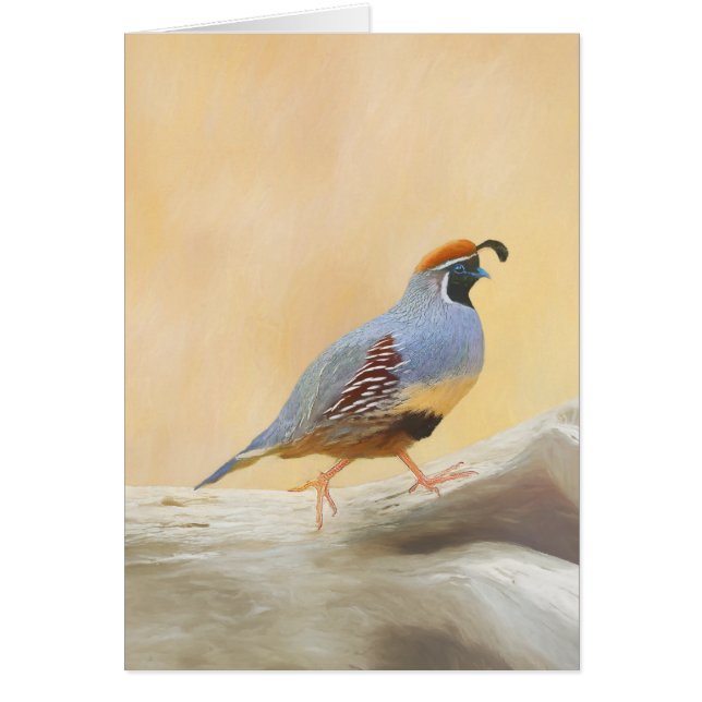 Gambrel's Quail Painting Original Bird Art (Devant)