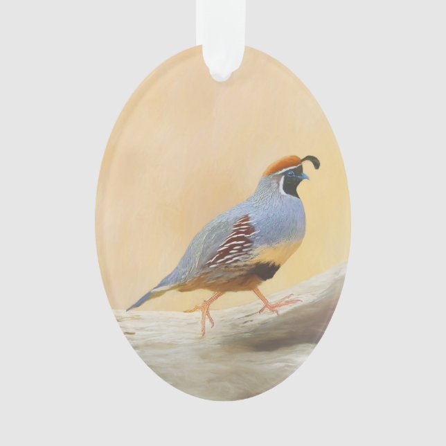 Gambrel's Quail Painting Original Bird Art (devant)