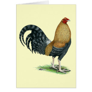 Gamecock : Dom ou Crele