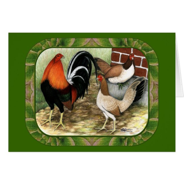 Gamefowl On the Farm (Devant Horizontal)