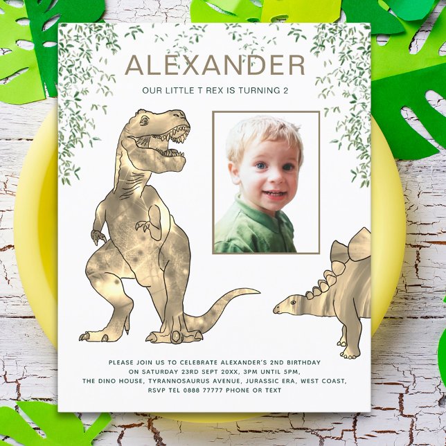 Garçons d'anniversaire de la jungle des dinosaures (Dinosaur jungle T-Rex and stegosaurus 2nd birthday party budget invitation with photo template )