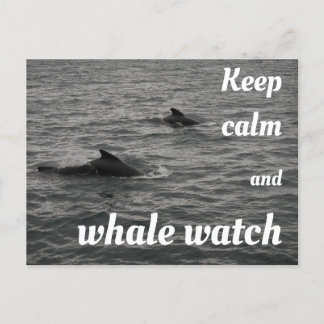 Garde calme et baleine surveillance Carte postale