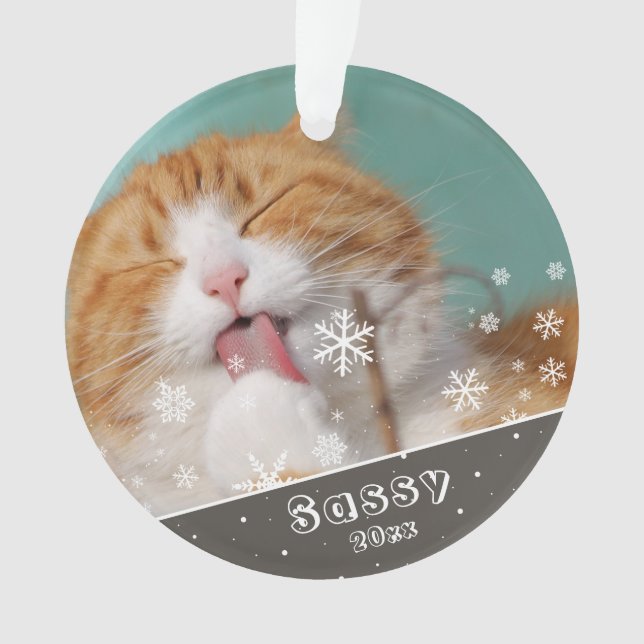 Garde de photo de chat de compagnie festif et Noël (devant)