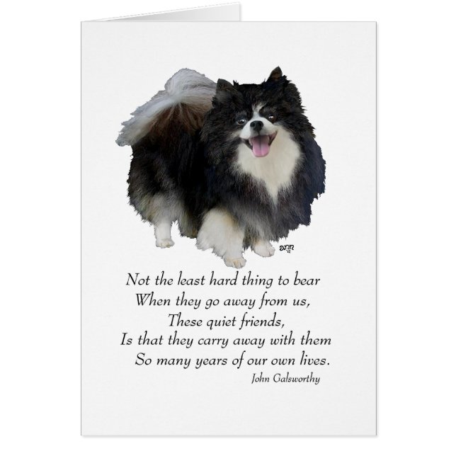 Garde de Pomeranian noir (Devant)