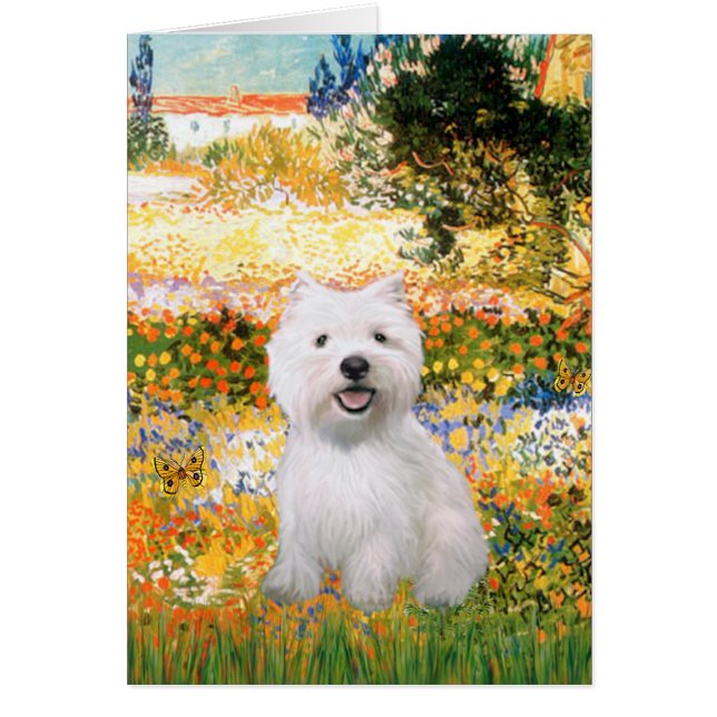Garden Fiorito - Westie 2 (Devant)