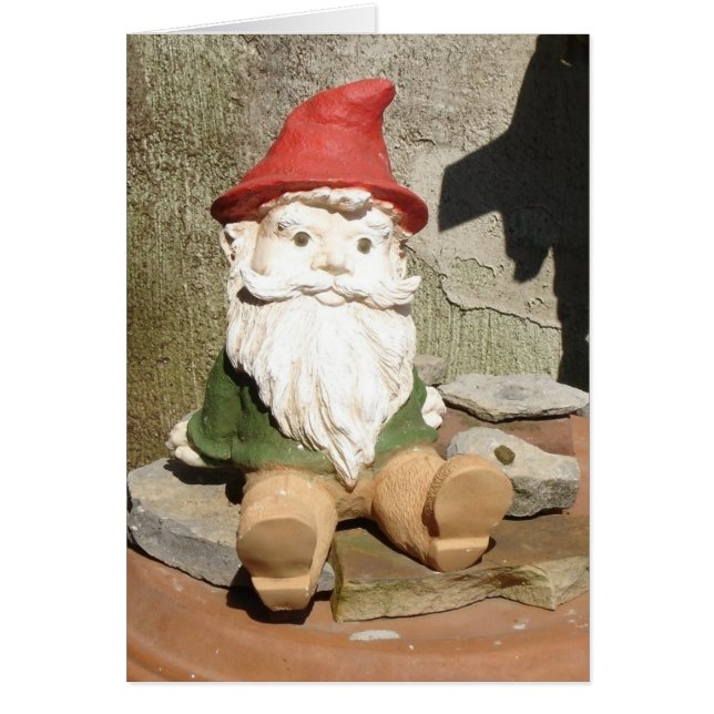 Garden Gnome (Devant)