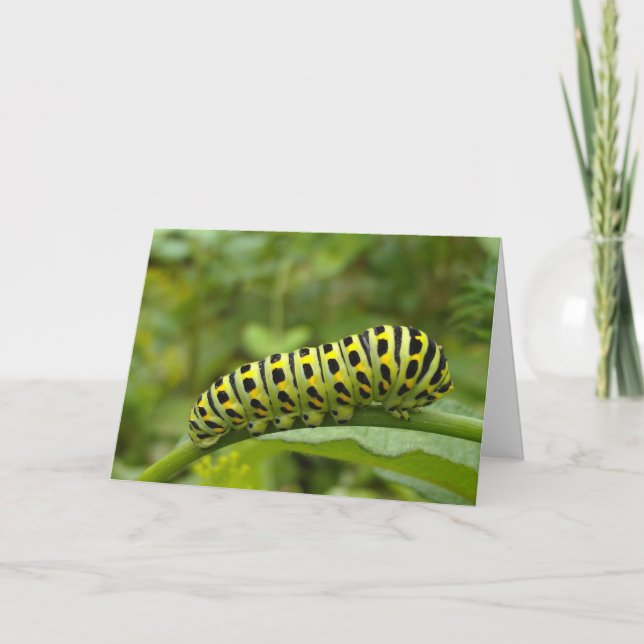 Garden Swallowtail Caterpillar Carte pour notes (Devant)