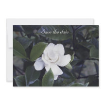 Gardenia Floral Enregistrer La Carte Date