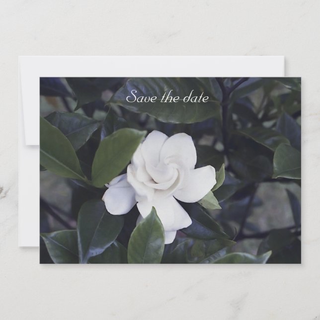 Gardenia Floral Enregistrer La Carte Date (Devant)