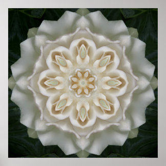 Gardenia Inner Glow Mandala Poster Imprimer