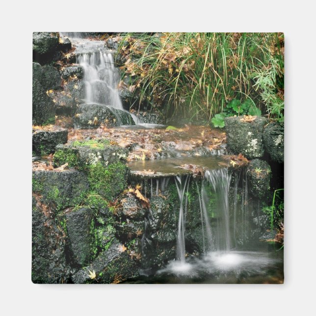 Gardent délice aimant (Devant)