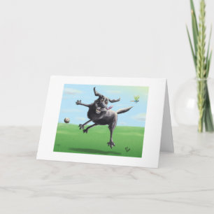 Garder le contact Carte de voeux blanche Humour