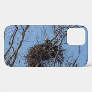 Garder le coque iphone d'aigle