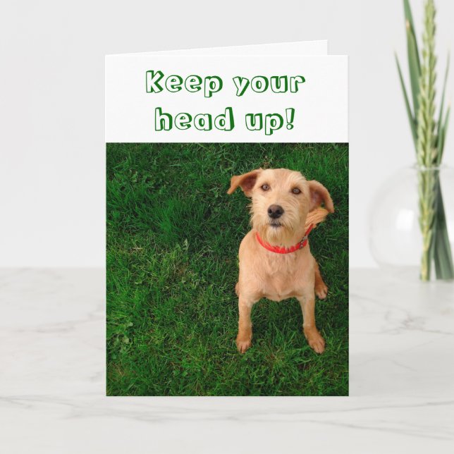 Gardez votre tête vers le haut de carte (Devant)