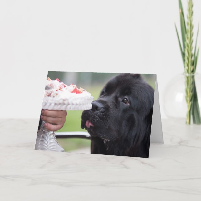 Gâteau d'anniversaire et carte de chien (Devant)