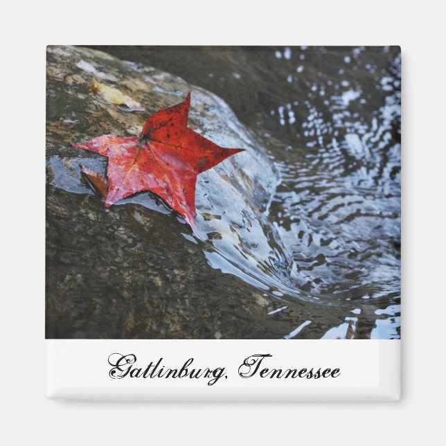 Gatlinburg Leaf Magnet (Devant)